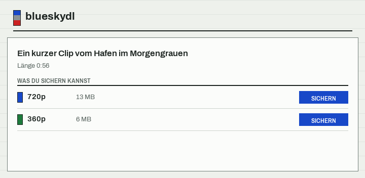Die Liste zeigt 720p und 360p als sicherbar, 1080p und 4K durchgestrichen als nie gespeichert.